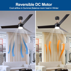 Modern Wisp Ceiling Fan with LED Light Kit and Reversible Motor - Quirked Elegance