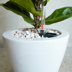 Modern Self-Watering Flower Planter Pot - Quirked Elegance